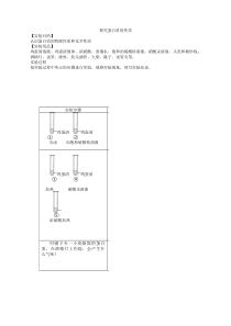 《探究蛋白质维生素》实验报告单-九年级下册化学沪教版