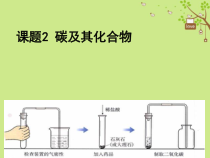 《单元2 碳及其化合物》PPT课件9-九年级上册化学科普版