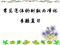 《单元2 碳及其化合物》PPT课件2-九年级上册化学科普版