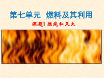 《单元1 燃烧与灭火》PPT课件2-九年级上册化学科普版