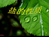 《单元3 盐 化学肥料》PPT课件3-九年级下册化学科普版