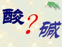 《单元2 几种常见的酸和碱》PPT课件7-九年级下册化学科普版
