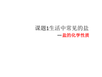 《单元3 盐 化学肥料》PPT课件6-九年级下册化学科普版
