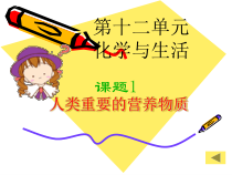 《单元1 生命必需的营养物质》PPT课件4-九年级下册化学科普版