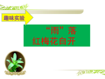 《单元2 几种常见的酸和碱》PPT课件2-九年级下册化学科普版