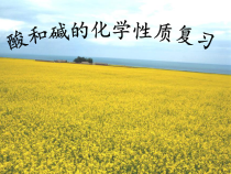 《单元1 酸性溶液和碱性溶液》PPT课件5-九年级下册化学科普版