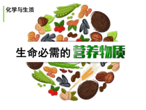 《单元1 生命必需的营养物质》PPT课件3-九年级下册化学科普版