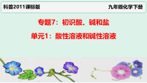 《单元1 酸性溶液和碱性溶液》PPT课件6-九年级下册化学科普版