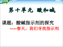 《单元1 酸性溶液和碱性溶液》PPT课件7-九年级下册化学科普版