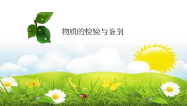 《单元3 盐 化学肥料》PPT课件5-九年级下册化学科普版
