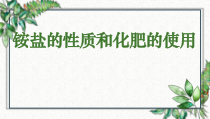 《单元3 盐 化学肥料》PPT课件4-九年级下册化学科普版