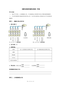 《单元1 酸性溶液和碱性溶液》导学案-九年级下册化学科普版