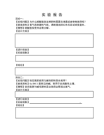 《单元3 盐 化学肥料》探究实验报告-九年级下册化学科普版