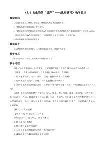 《5.4 古生物的“遗产”——化石燃料》教学设计4-九年级上册化学粤科版