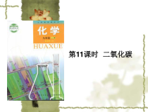 《5.3 二氧化碳的性质和制法》PPT课件1-九年级上册化学粤科版