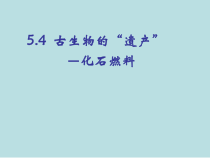 《5.4 古生物的“遗产”——化石燃料》PPT课件3-九年级上册化学粤科版