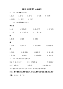 《2.4 辨别物质的元素组成-复习化学用语》诊断练习-九年级上册化学粤科版