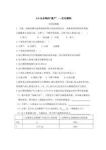 《5.4 古生物的“遗产”——化石燃料》当堂检测题-九年级上册化学粤科版