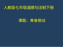 《青春萌动》PPT课件2-统编版七年级下册道德与法治