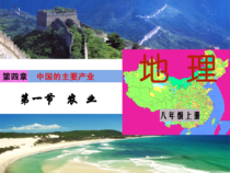 《第一节 农业》PPT课件1-湘教版地理八年级上册