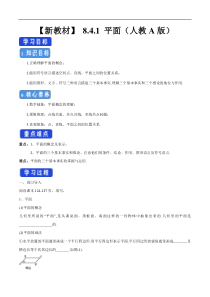 2021年人教版高中数学必修第二册8.4.1《平面》学案 (含详解)