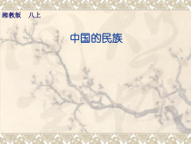 《第四节 中国的民族》PPT课件2-湘教版地理八年级上册