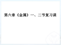 《奇妙的金属性质》PPT课件1-九年级下册化学粤科版