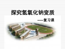 《8.1 溶液的酸碱性》PPT课件-九年级下册化学粤科版