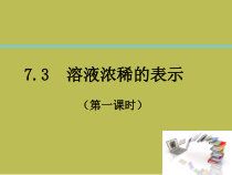 《7.3 溶液浓稀的表示》教学课件-九年级下册化学粤科版