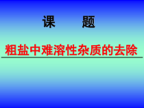 《7.4 结晶现象》课件PPT2-九年级下册化学粤科版
