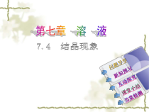 《7.4 结晶现象》PPT课件2-九年级下册化学粤科版