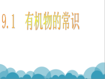 《9.1 有机物的常识》课件PPT-九年级下册化学粤科版
