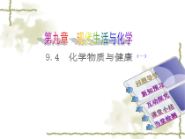《9.4 化学物质与健康》PPT课件-九年级下册化学粤科版