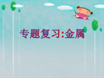 《奇妙的金属性质》PPT课件-九年级下册化学粤科版