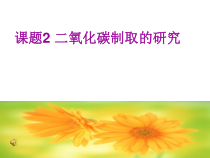 《第三节 二氧化碳的实验室制法》PPT课件3-九年级上册化学北京版