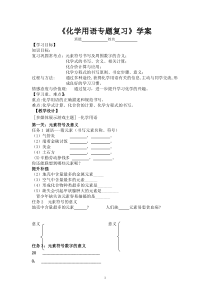 《化学用语专题复习》学案-九年级上册化学北京版