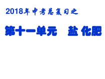 《第十一单元 盐 化肥》PPT课件8-九年级下册化学北京版