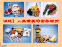 《第一节 食物中的营养物质》PPT课件1-九年级下册化学北京版