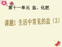 《第二节 盐的性质》PPT课件1-九年级下册化学北京版