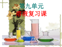 《第九单元 溶液复习课》PPT课件4-九年级下册化学北京版