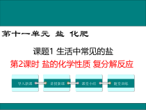 《第二节 盐的性质》PPT课件2-九年级下册化学北京版