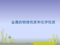 《第二节 金属的化学性质》PPT课件3-九年级下册化学北京版