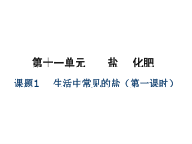 《第一节 几种常见的盐》PPT课件2-九年级下册化学北京版
