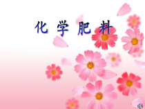 《第一节 几种常见的盐》PPT课件4-九年级下册化学北京版