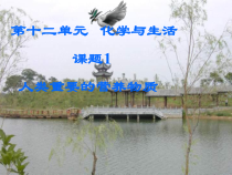 《第一节 食物中的营养物质》PPT课件3-九年级下册化学北京版