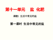 《第一节 几种常见的盐》PPT课件5-九年级下册化学北京版