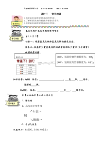《第三节 几种常见的碱》学习本-九年级下册化学北京版