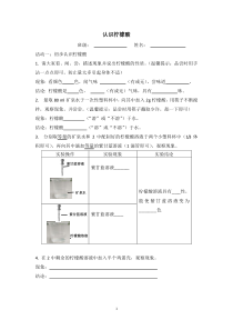 《第11章第二节几种常见的酸第1课时——认识柠檬酸》学案-九年级下册化学北京版