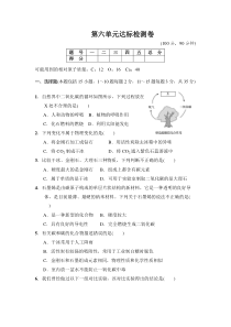 第6单元达标检测卷-九年级化学上册人教版