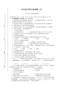 九年级化学单元检测题（8）